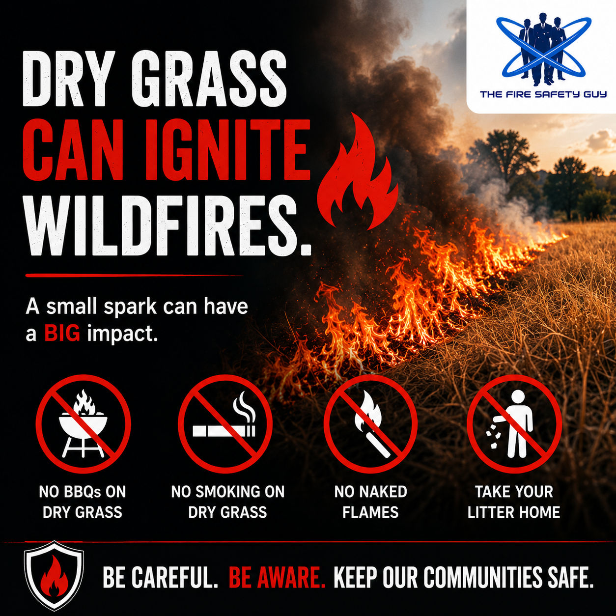 Wildfires